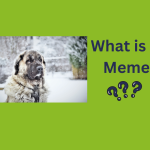 meme-image